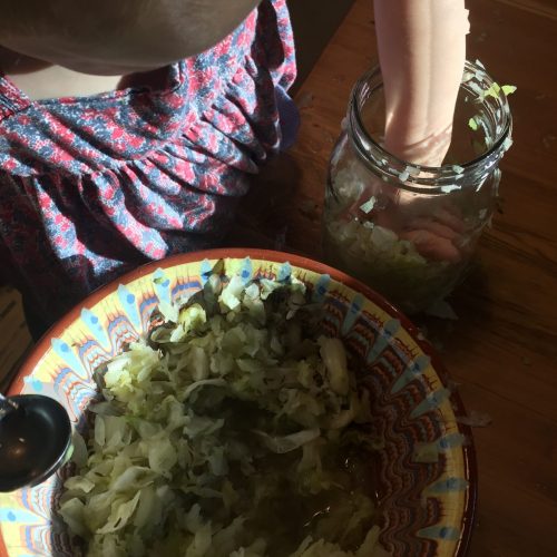 sauerkraut, fermented, cooking with kids, lacto-fermentation, gut healthy, microbiome